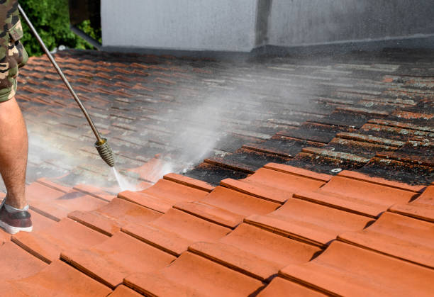 Best House Pressure Washing  in Cameron, WI