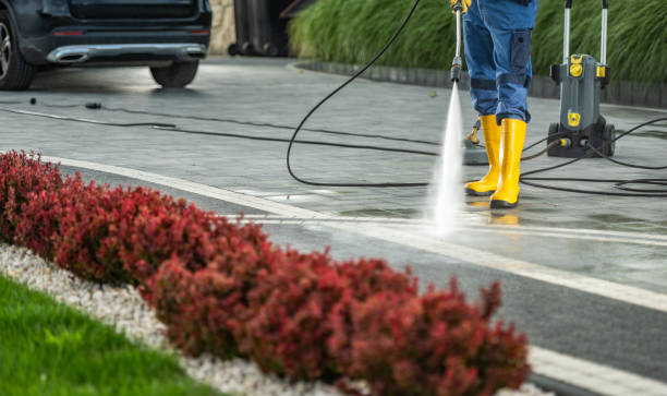 Best Local Pressure Washing Services  in Cameron, WI